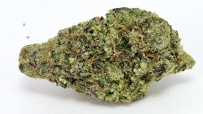 Tropical Burst