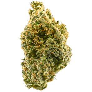 Tangie
