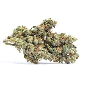 Blueberry Cookies