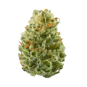 Blackberry Hashplant